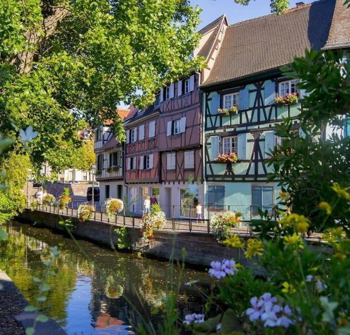 At Home In The Center Of Colmar Buitenkant foto
